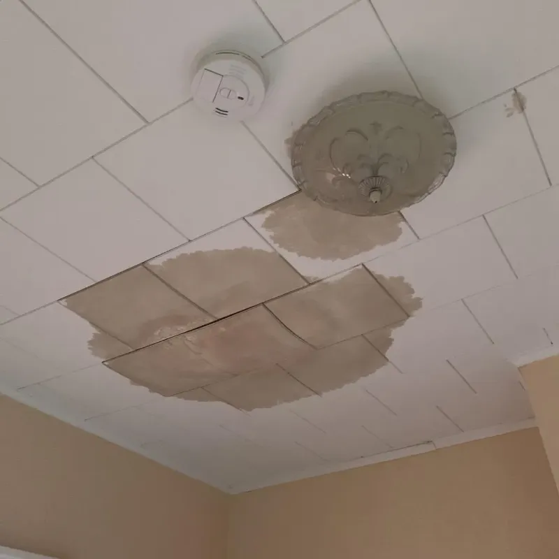 Ceiling Water Damage Repair in Red Wing, MN