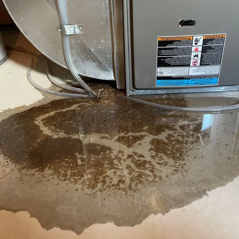 Pipe Burst and Leak Restoration in Red Wing, MN