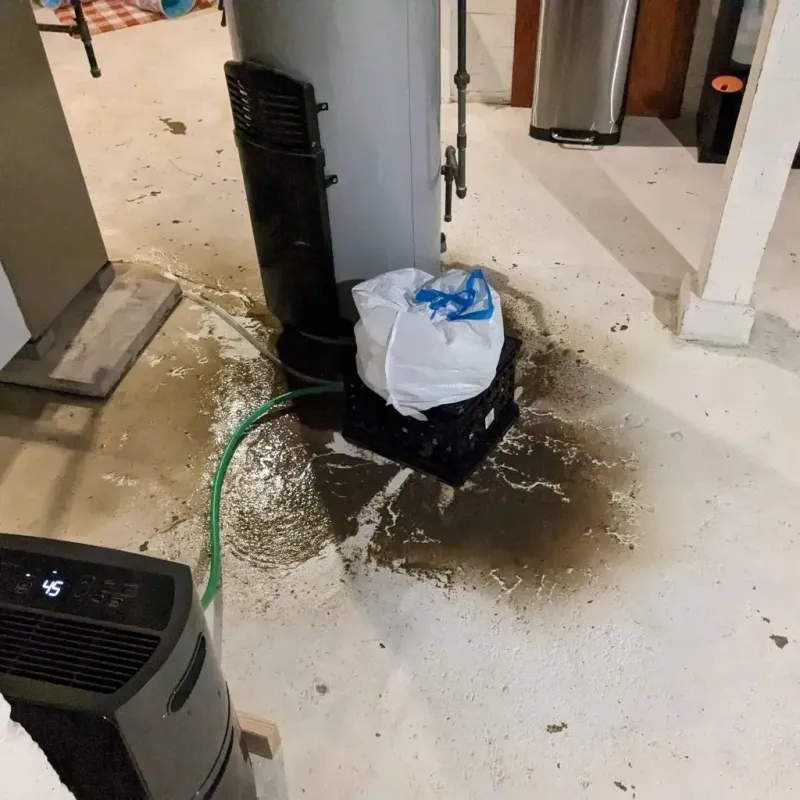 Sewage Backup Cleanup Service in Red Wing, MN